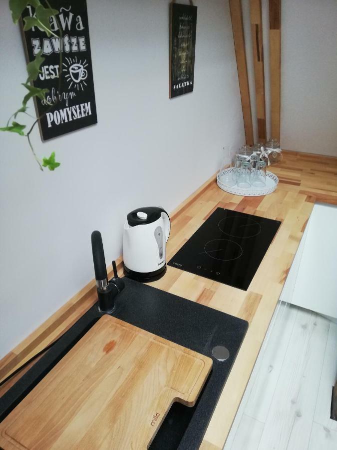 Apartament Tower ビィドゴシュチュ エクステリア 写真
